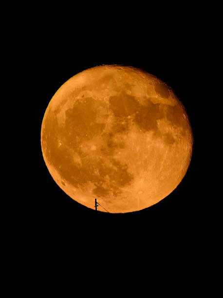 istock Golden Deer Supermoon held by a telephone pole like a balloon 1625019384