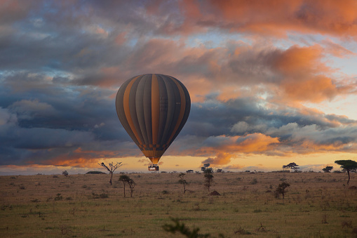 Balloon flight in the morning over the Serengeti, safari, Africa, tanzania, savannah.