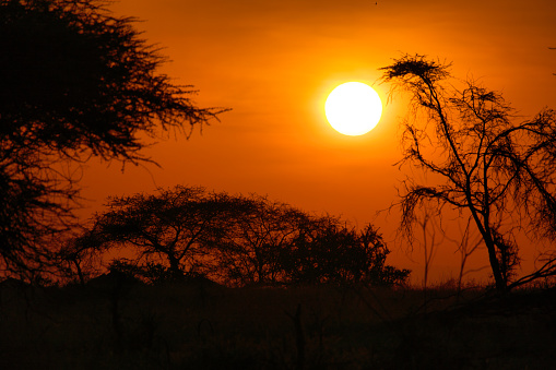 Sunset in Africa. Serengeti, Africa