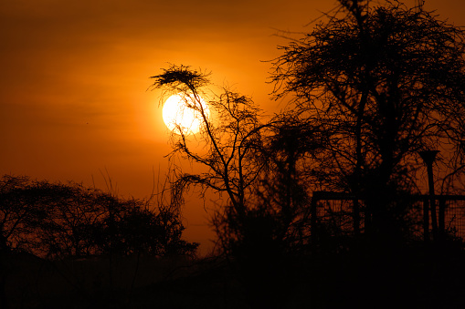 Sunset in Africa. Serengeti, Africa