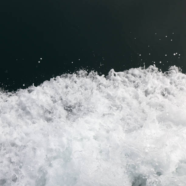 istock Wave forming in front of a ship. Beautiful whitewater. 1625038838