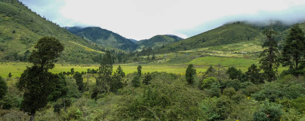 istock Mountain scenery of Thimphu, Bhutan 1625053821