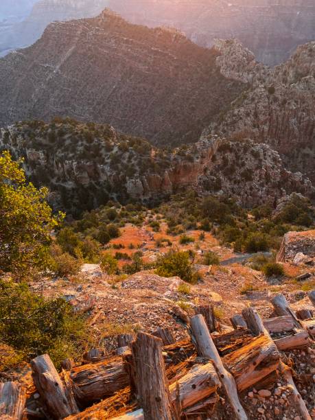 istock Grand canyon by morning 1625075209