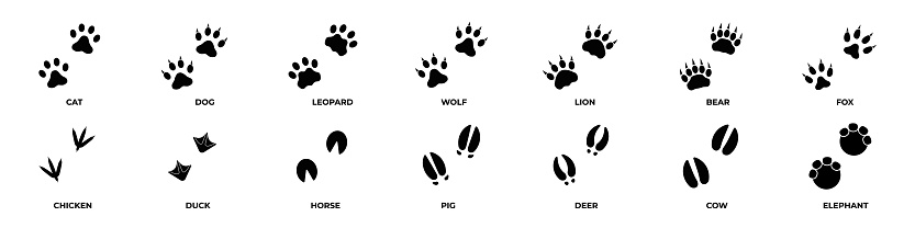 Paws print set. Animal paws icons.