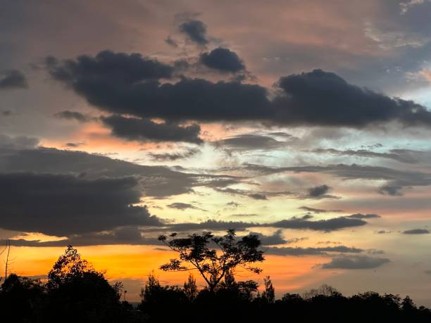 istock Sunset cloudy with beautiful sky dawn twilight forest tree silhouette. 1625112817