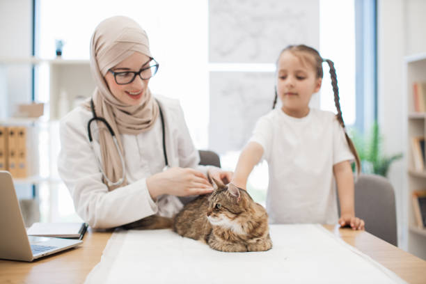 medico che osserva il gatto mentre la ragazza distrae l'animale domestico al veterinario - glasses child cute offspring foto e immagini stock