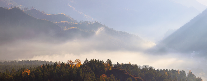 Fog in the mountain valley, panoramic autumn view
