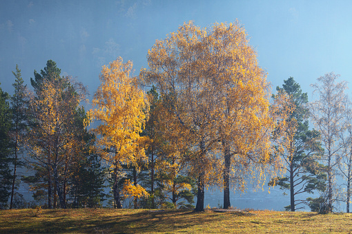 Autumn landscape, sunny morning, blue haze