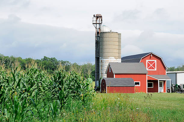 istock Traditional Michigan Midwestern Farm 162515665