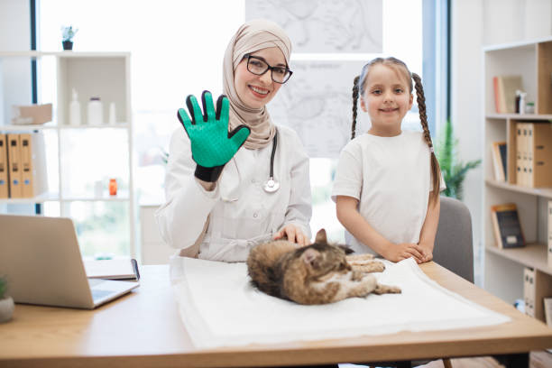 ragazza e veterinario nel guanto di toelettatura dell'animale domestico che sorridono alla telecamera - glasses child cute offspring foto e immagini stock