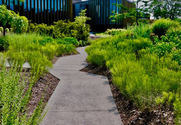 istock Tom Patterson Theatre, Stratford ON  - Footpath in summer lined with lush foliage 1625160271