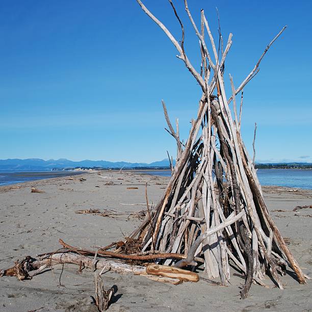 driftwood tumulo, motueka lingua di terra, tasman, nz - il monumento di nelson foto e immagini stock