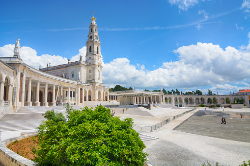 The oak tree and Basilica of Our Lady of the Rosary, Fatima, Portugal