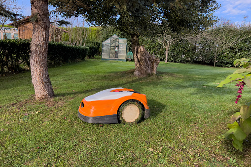 Automatic baterry Lawn mower cutting green grass in modern garden. Sunset mood. Robot. Copyspace