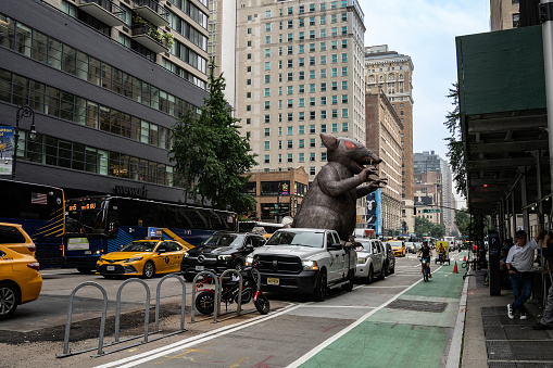 New York, USA - July 20th, 2023: A gigantic rat doll on the cargo bed of a pickup truck in a New York city street.