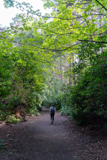 istock A woman walks into a dense forest 1625171439