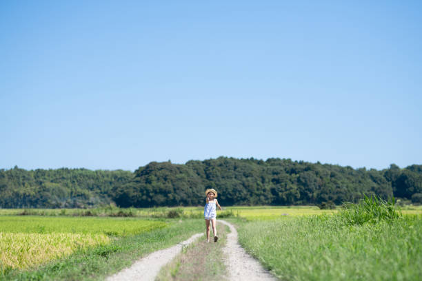 Child playing on the rice field road