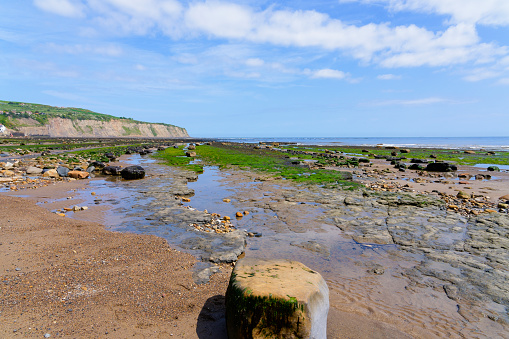 Lots of rock pools to explore at low tide on Robin Hoods Bay beach in North Yorkshire.