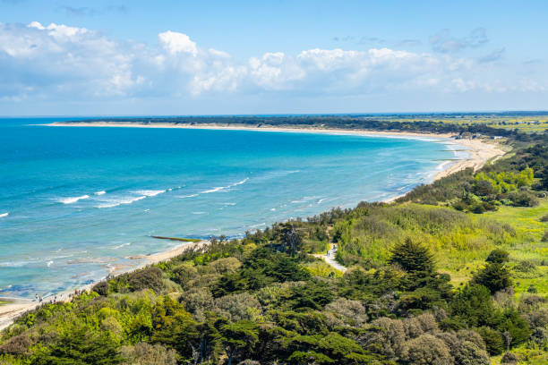 strand conche des baleines auf der insel ile de ré - ile de re stock-fotos und bilder