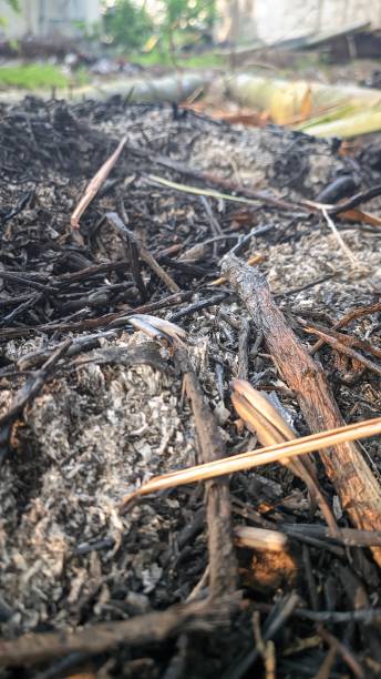istock texture of ash and charcoal from burning wood and trash 1625229201