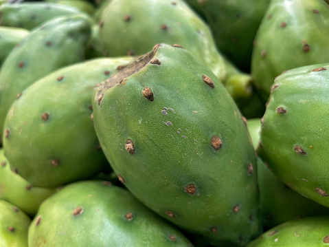 Journey through the vibrant heart of a bustling market with this captivating stock photo. Feast your eyes upon a mesmerizing array of plump and colorful prickly pears, thoughtfully presented for exploration and purchase. The intricate textures and vibrant hues of these cactus fruits create a visual and tactile symphony that encapsulates the very essence of the market experience.