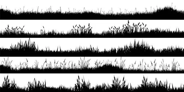 Vector illustration of Meadow silhouettes with grass, plants on plain. Panoramic summer lawn landscape with herbs, various weeds. Herbal border, frame element. Black horizontal banners. Vector illustration