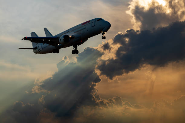 istock Low-angle view of a silhouette of a large passenger plane moving through a cloud. 1625261644