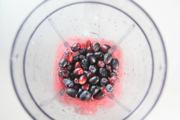 istock Podocarpus Fruit in the food processor view from above 1625262758