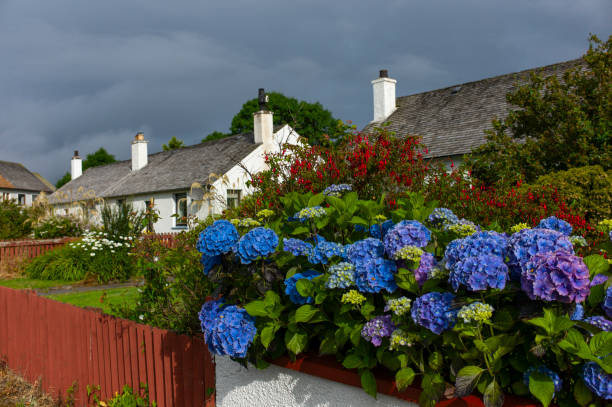 istock Residential yard and hydrangeas, Ullapool, Scotland 1625280018