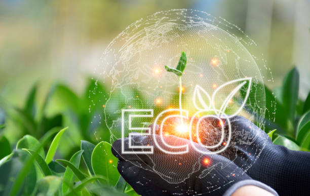istock Hand holding sapling on blurred green nature background. eco earth day concept 1625287126