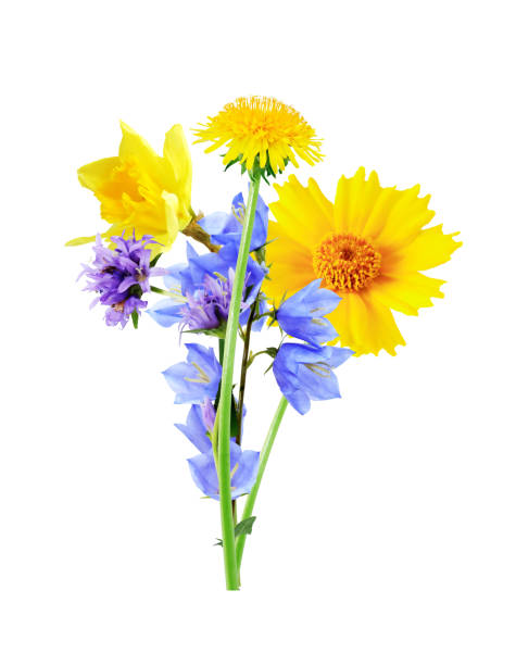 istock Bouquet Of Wild Flowers 1625289314