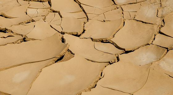 A symbol of global warming - the dried out crust of the earth.