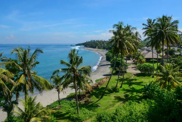 Sand beach with coconut trees in Lombok Island, Indonesia. Lombok is an island in the West Nusa Tenggara province of Indonesia.