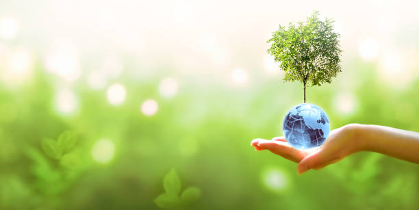 istock Earth Day concept. Blue globe and tree in hand on green background. Saving environment, save, protect clean planet and ecology, sustainable lifestyle. 1625307618