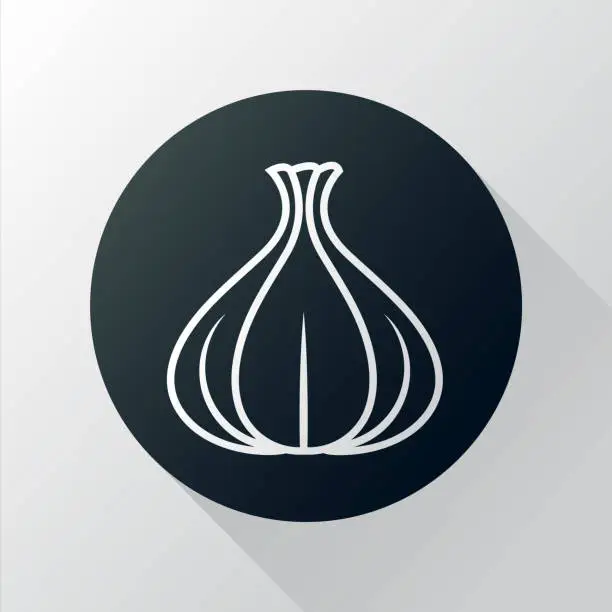 Vector illustration of garlic