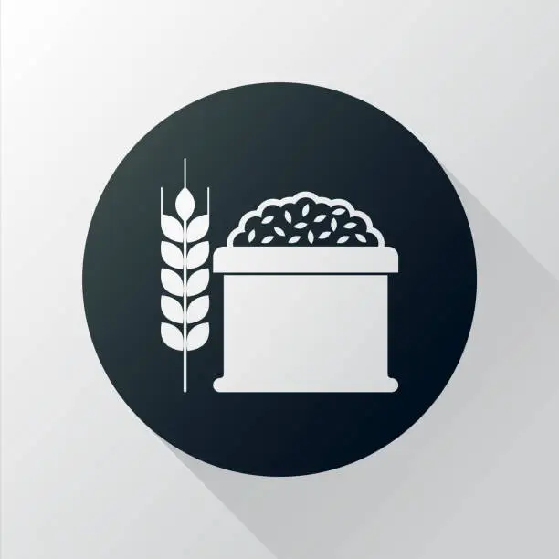 Vector illustration of whole wheat