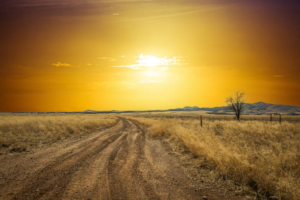 istock A dirt road leading off into the sunset 1625312723