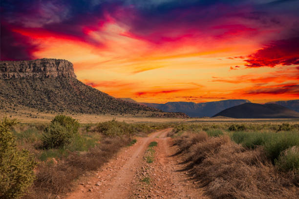 istock A rural dirt road leading off to distant mountains 1625313274