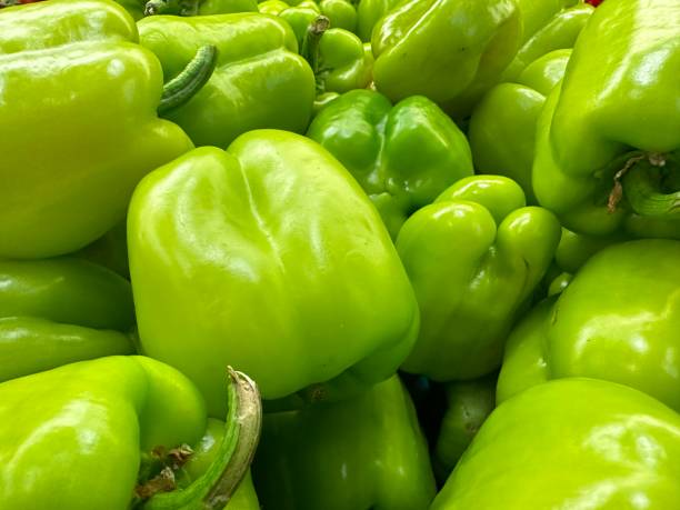 pimentão verde - pepper bell pepper market spice - fotografias e filmes do acervo