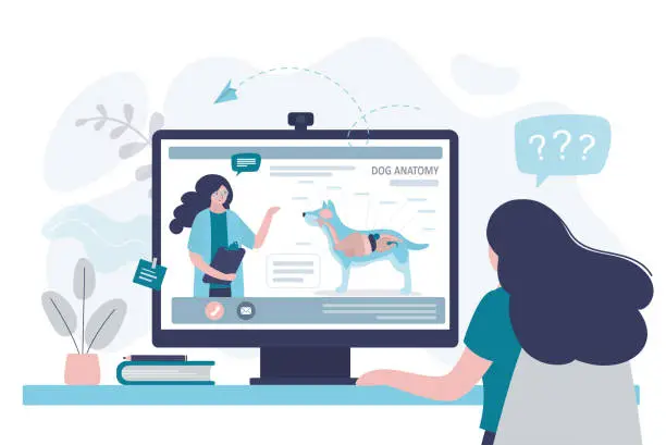 Vector illustration of Online lesson about dog anatomy. Teacher talks about internal organs of animal. Tutor tells student about veterinary profession. Girl watching veterinary internet courses
