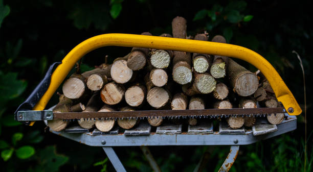 istock Gardening - Saw with cutted Firewood 1625338733