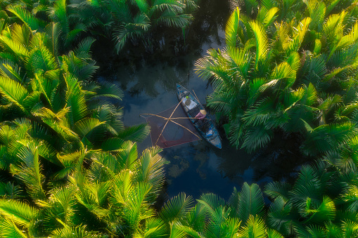 Drone view of fisherman is catching fish in nipa palm jungle, Quang Ngai province, central Vietanm