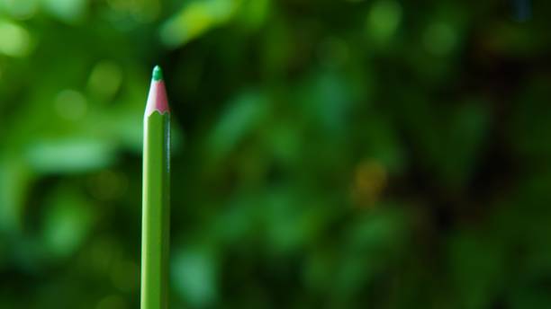 istock green color colored pencil on blur background 1625338993