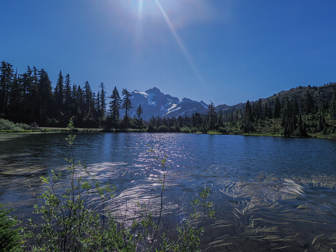 Picture Lake at Mt Baker, Washington, a postcard-worthy sight. Its glassy's surface reflects towering peaks of the surrounding mountains, creating a picture perfect mirroe effect. Lush greenery and vibrant wildflowers adorn the edages of the lake , adding bursts of color to the landscape.