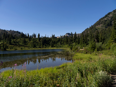 Picture Lake at Mt Baker, Washington, a postcard-worthy sight. Its glassy's surface reflects towering peaks of the surrounding mountains, creating a picture perfect mirroe effect. Lush greenery and vibrant wildflowers adorn the edages of the lake , adding bursts of color to the landscape.