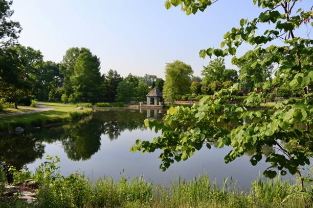 istock Lake in the Country 1625343607