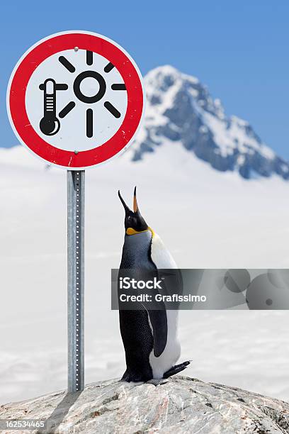 Foto de Antártica Pinguimrei Com Sinal De Estrada Aquecimento Global e mais fotos de stock de Mudanças climáticas