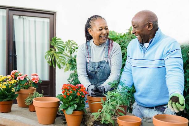 personas mayores africanas jardinería con flores en la casa del patio trasero - concepto de diversión y pasatiempo para parejas - florida house patio real estate fotografías e imágenes de stock