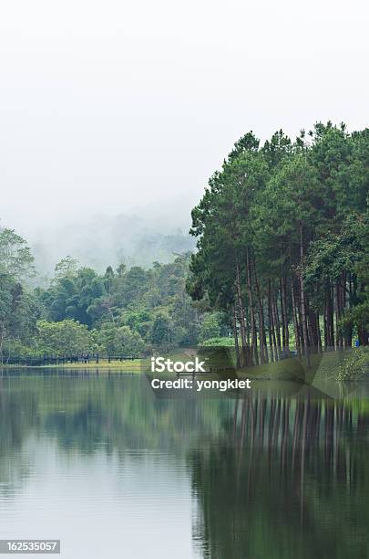 Pang Ung 아름다운 임산 레이브 아침에 0명에 대한 스톡 사진 및 기타 이미지 - 0명, Pang Ung, 강