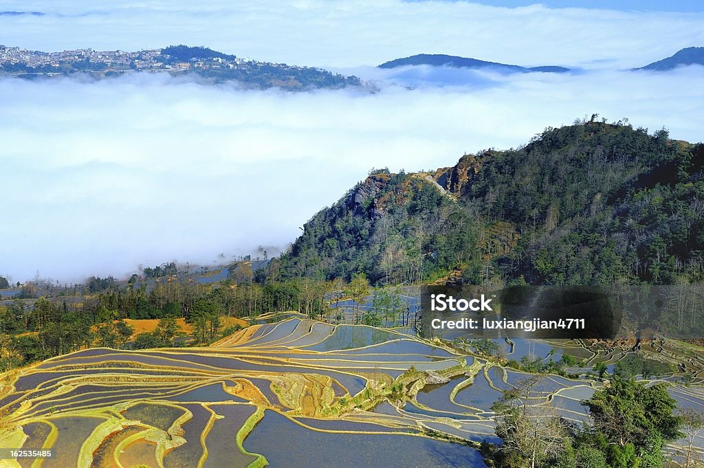 terraces e nuvens - Royalty-free Agricultura Foto de stock